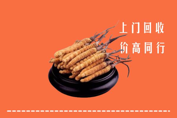 汉中市回收冬虫夏草