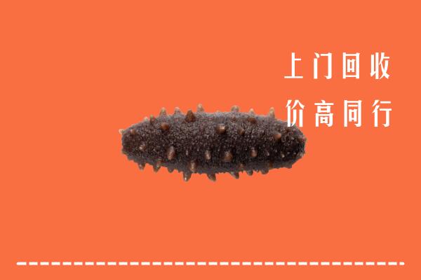高价求购：汉中市回收海参