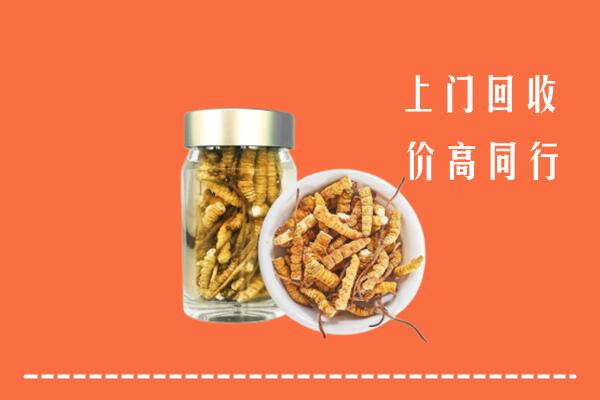 汉中市回收冬虫夏草